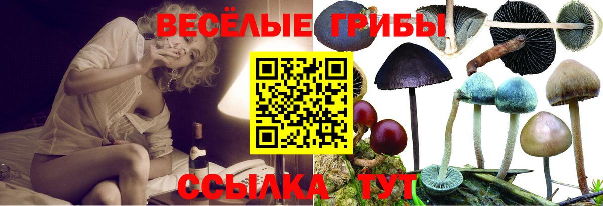 купить наркотик  Псилоцибиновые грибы Psilocybine cubensis  Вход с VPN  Ярцево 